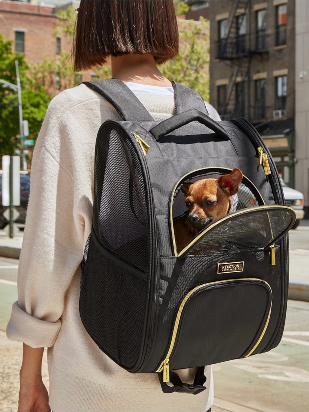 Kenneth Cole Black Backpack Pet Carrier with Gold Trim